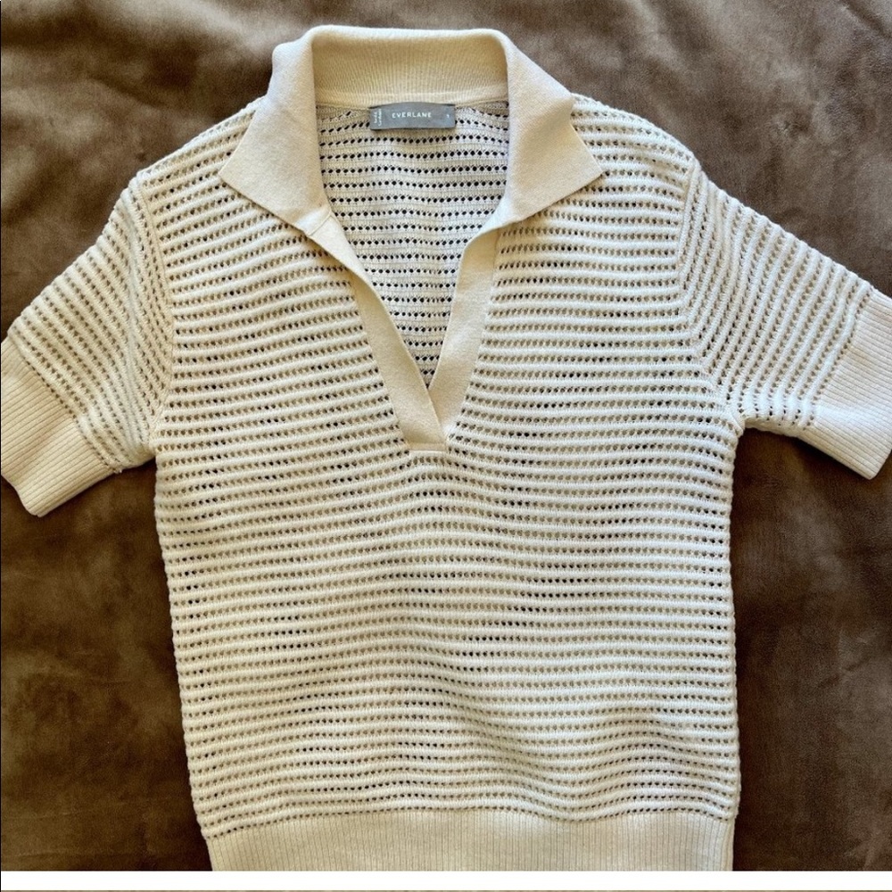 Everlane Cotton Merino Polo 💜
